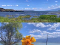 -大理洱海