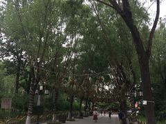 -文瀛公园