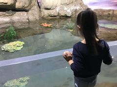 -南昌海洋公园