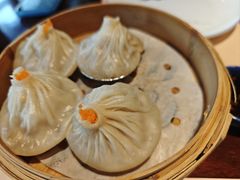-点都德·毕德寮