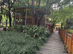 -晓港公园