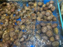 -徐记海鲜·宴会(大唐西市|丰庆店)