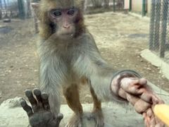 -水上乐园·欢乐世界