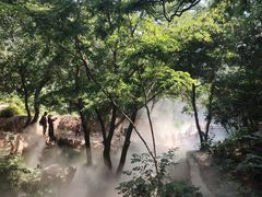 -北京西山国家森林公园