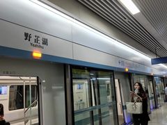 -野芷湖(地铁站)