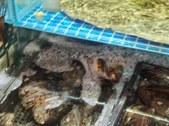 -四道口水产市场