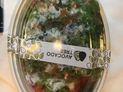 -油梨树 AVOCADO TREE(亮马桥店)