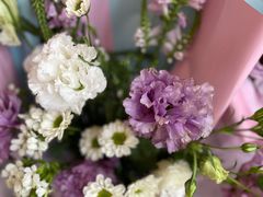 -满天星幼儿园(北京太阳宫园)