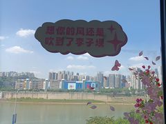 -李子坝梁山鸡(李子坝大鸡哥店)