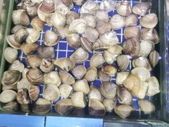 -青蓬蒸汽海鲜·深圳老字号·团建聚会(壹方城店)