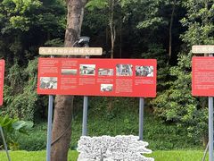 -阳台山森林公园