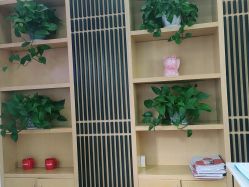 点击看大图 -WENDY·温迪皮肤管理