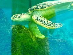 -大明湖海底世界