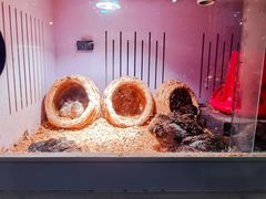 -红红烤鸭店(西单店)