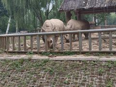 -石家庄市动物园