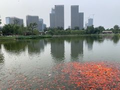 -西海子公园