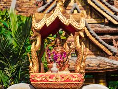 -西双版纳傣族园