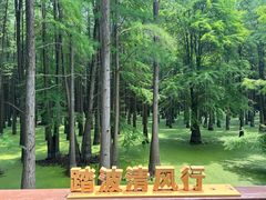 -青山湖景区