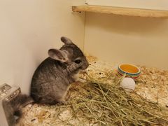 -龙猫仔乐园(惠福东路店)