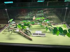 -天津自然博物馆