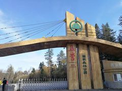 -五营红松林海景区