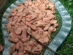 -多喜客海鲜烤肉自助烤场(百花红楼店)