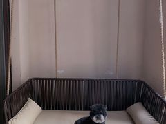 -上海崇明金茂凯悦酒店