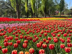 -国家植物园南园