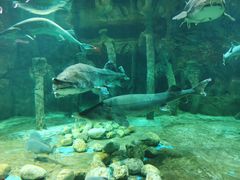 -华夏文旅海洋公园