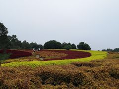 -保利石象湖景区