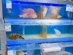 -盒马鲜生(岭南新世界店)