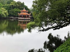 -潮镇老尾牛杂(环城西路店)