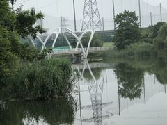 -九里河湿地公园