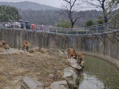 -无锡动物园·太湖欢乐园
