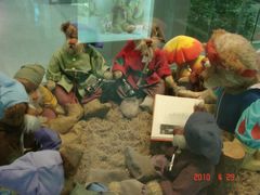 -济州岛泰迪熊博物馆