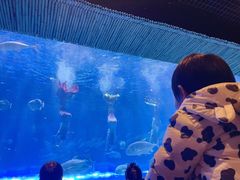 -华夏文旅海洋公园