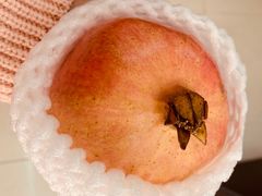 -鲜力达果品批发直销(青山店)