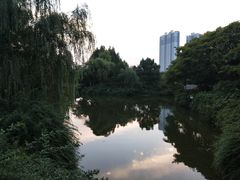 -荆川公园
