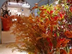 -BEAST野兽派(上海浦东嘉里城店)