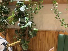 -金柱大盘鸡(波斯坦店)