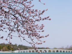 -颐和园