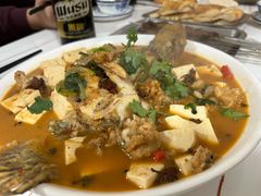 -煲来饱去冷水鱼