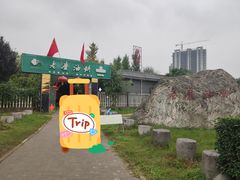 -老磨油饼(高陵店)