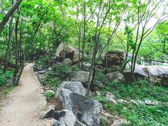 -大岭沟猕猴桃谷风景区