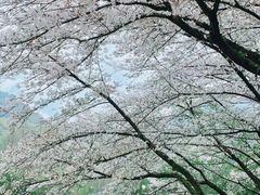 -杭州少年儿童公园