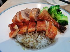 烧鸭饭-深井烧(竹林境社区店)