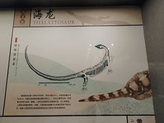 -贵州省地质博物馆