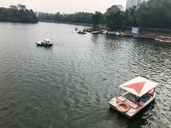 -莱西月湖公园