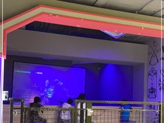 -嗨翻Hi-Fun竞技主题乐园·蹦床亲子生日轰趴(国光1937店)