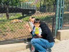 -大连森林动物园